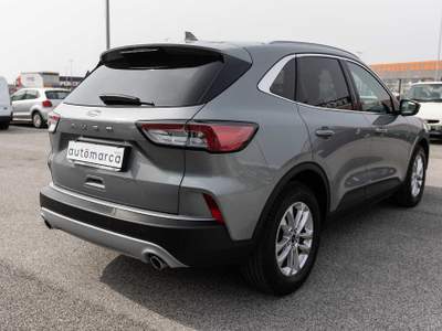 Ford Kuga 1.5 EcoBlue 120 CV 2WD Titanium Business Grigio usata Silea