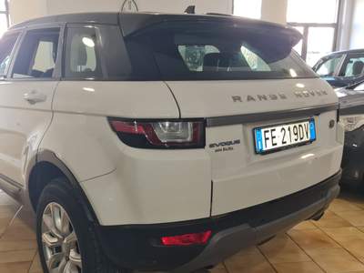 Land Rover Range Rover Evoque 2.0 TD4 SE usata Isernia