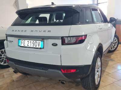 Land Rover Range Rover Evoque 2.0 TD4 SE usata Isernia