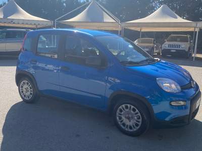 Fiat Panda auto da vetrina Blu/Azzurro usata Serradifalco