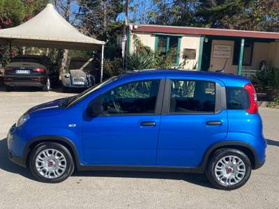 Fiat Panda auto da vetrina Blu/Azzurro usata Serradifalco