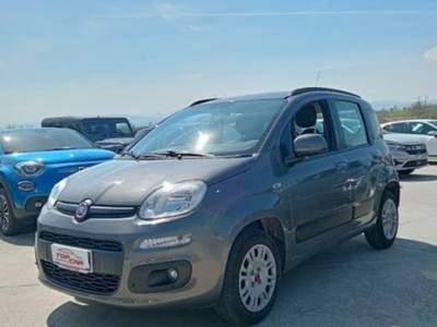 Fiat Panda 1.2 Easy s&s 69cv my19 Grigio usata Gioia Sannitica