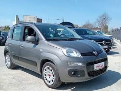 Fiat Panda 1.2 Easy s&s 69cv my19 Grigio usata Gioia Sannitica