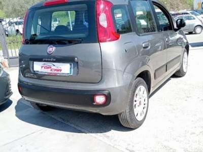 Fiat Panda 1.2 Easy s&s 69cv my19 Grigio usata Gioia Sannitica