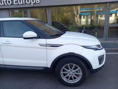Land Rover Range Rover Evoque  usata Siena