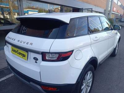 Land Rover Range Rover Evoque  usata Siena