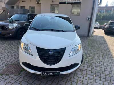 Lancia Ypsilon 1.2 69 CV 5 porte Gold Bianco usata Capriolo