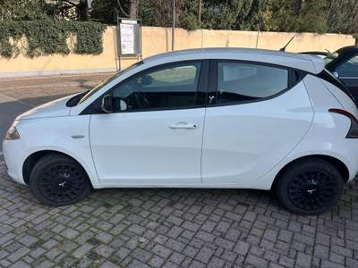 Lancia Ypsilon 1.2 69 CV 5 porte Gold Bianco usata Capriolo