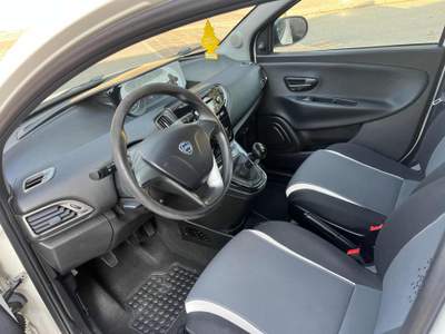 Lancia Ypsilon 1.2 69 CV 5 porte Gold Bianco usata Capriolo