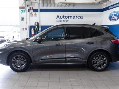 Ford Kuga 1.5 EcoBoost 150 CV 2WD ST-Line X Grigio usata Silea