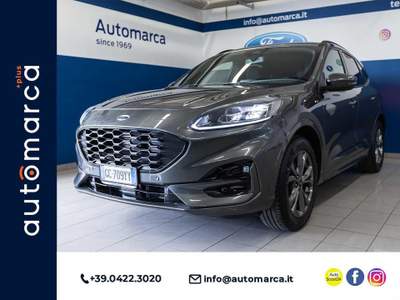 Ford Kuga 1.5 EcoBoost 150 CV 2WD ST-Line X Grigio usata Silea