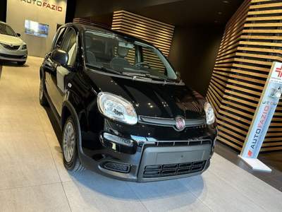 Fiat Panda 1.0 FireFly S&S Hybrid Nero usata Santa Maria di Licodia