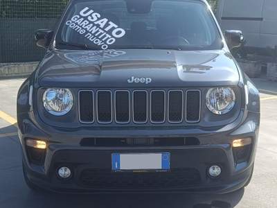 Jeep Renegade 1.6 Mjt 130 CV Limited Grigio usata SORA