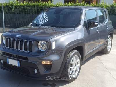 Jeep Renegade 1.6 Mjt 130 CV Limited Grigio usata SORA