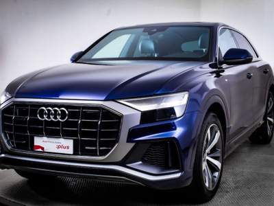 Audi Q8 50 3.0 tdi mhev Sport quattro tiptronic Blu/Azzurro usata Paruzzaro