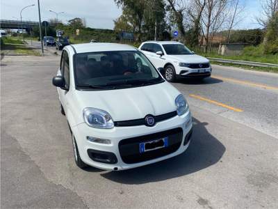 Fiat Panda fiat panda 1.3 mjt  in perfette condizioni usata San Nicola Arcella