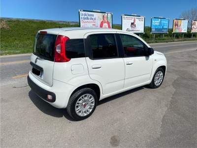 Fiat Panda fiat panda 1.3 mjt  in perfette condizioni usata San Nicola Arcella