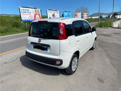 Fiat Panda fiat panda 1.3 mjt  in perfette condizioni usata San Nicola Arcella