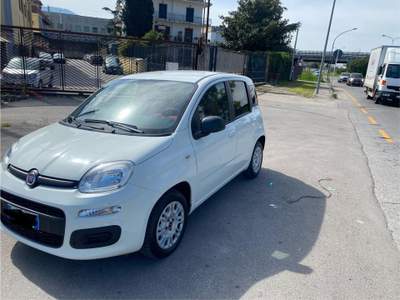 Fiat Panda fiat panda 1.3 mjt  in perfette condizioni usata San Nicola Arcella