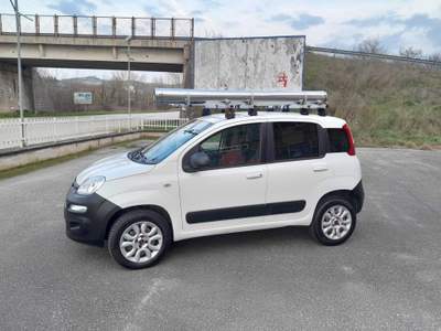 Fiat Panda Panda VAN con porta attrezzi Bianco usata Grottaminarda