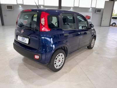 Fiat Panda 1.2 Easy s&s 69cv my19 Blu/Azzurro usata Alessandria