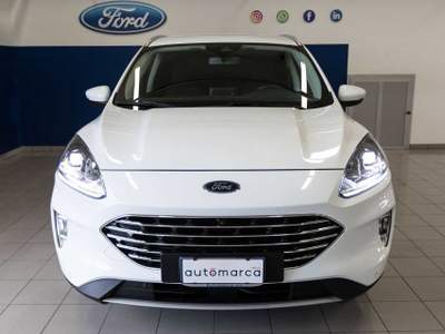 Ford Kuga 1.5 EcoBlue 120 CV 2WD Titanium Business Bianco usata Silea