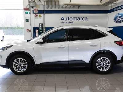 Ford Kuga 1.5 EcoBlue 120 CV 2WD Titanium Business Bianco usata Silea