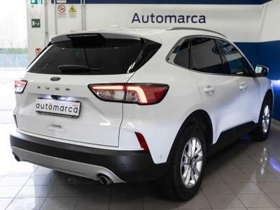 Ford Kuga 1.5 EcoBlue 120 CV 2WD Titanium Business Bianco usata Silea