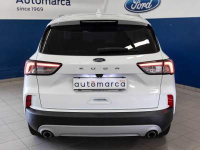 Ford Kuga 1.5 EcoBlue 120 CV 2WD Titanium Business Bianco usata Silea