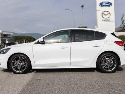 Ford Focus 1.5 EcoBlue 120 CV 5p. ST-Line Bianco usata Silea