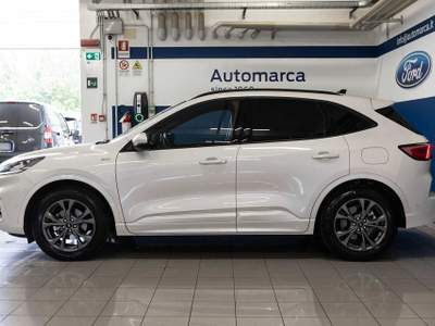 Ford Kuga 1.5 EcoBoost 150 CV 2WD ST-Line X Bianco usata Silea