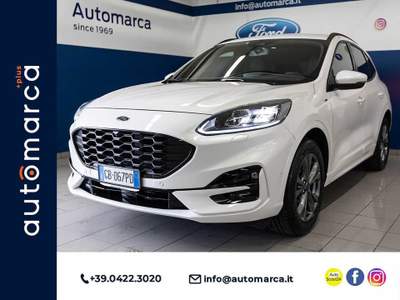 Ford Kuga 1.5 EcoBoost 150 CV 2WD ST-Line X Bianco usata Silea