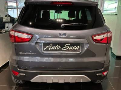 Ford EcoSport 1.5 110 CV Business Grigio usata Nichelino