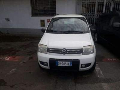 Fiat Panda Panda 1.2 4x4 Climbing usata Lucca