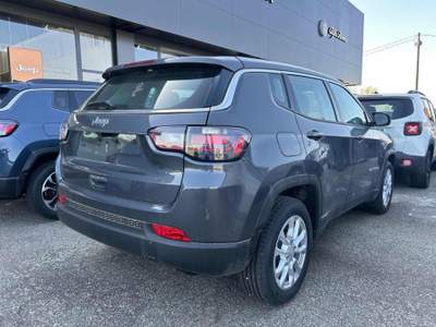 Jeep Compass 1.6 Multijet II 2WD Longitude Business Grigio usata Vercelli