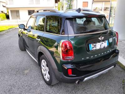 MINI Countryman 2.0 Cooper SD Hype Countryman ALL4 Automatica Verde usata Camisano Vicentino