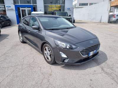 Ford Focus 1.5 EcoBlue 120 CV 5p. Business Grigio usata Fano