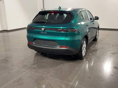 Alfa Romeo Tonale 1.6 diesel 130 CV TCT6 Sprint Verde usata Canino