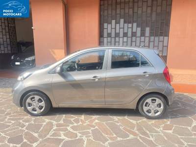 Kia Picanto Kia Picanto 1.0 Cool Gpl 5p - ANCHE PER NEOPATENTATI Grigio usata Capriolo