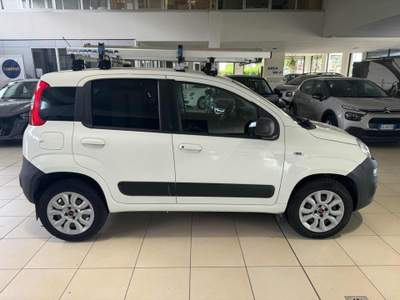 Fiat Panda 1.3 MJT S&S 4x4 Pop Climbing Van 2 posti Bianco usata Voghera
