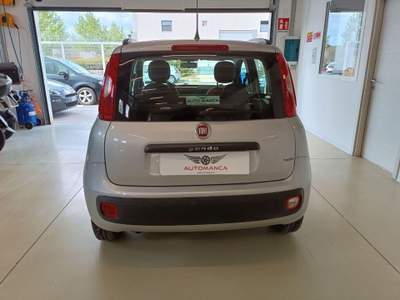 Fiat Panda 1.2 Pop Grigio usata Alghero