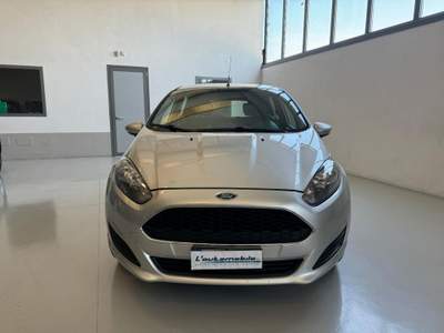 Ford Fiesta 1.5 TDCi 75CV 5 porte Business Argento usata Ghedi