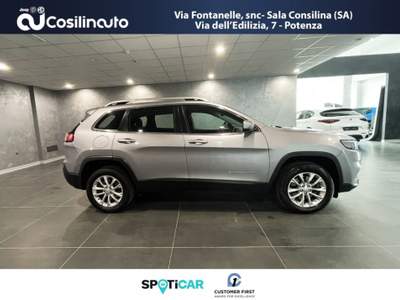 Jeep Cherokee 2.2 Mjt AWD Active Drive I Lounge Grigio usata Sala Consilina