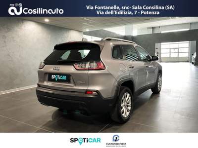 Jeep Cherokee 2.2 Mjt AWD Active Drive I Lounge Grigio usata Sala Consilina