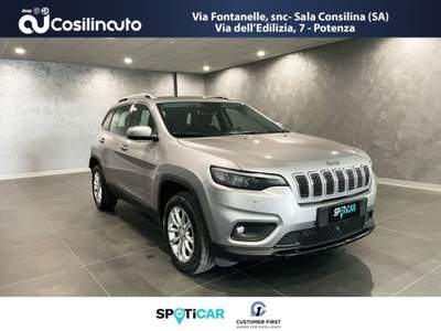 Jeep Cherokee 2.2 Mjt AWD Active Drive I Lounge Grigio usata Sala Consilina