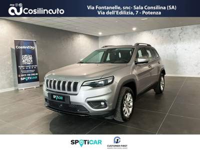 Jeep Cherokee 2.2 Mjt AWD Active Drive I Lounge Grigio usata Sala Consilina