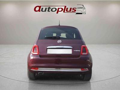Fiat 500 AZIENDALE 1.0 Hybrid FULL Lilla usata Penne