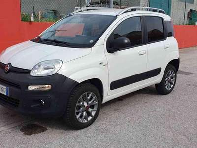 Fiat Panda 1.3 Multijet 4x4 VAN 2 POSTI Bianco usata Penne Fiat Panda 1.3 Multijet 4x4 VAN 2 POSTI Bianco usata Penne