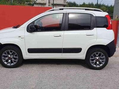 Fiat Panda 1.3 Multijet 4x4 VAN 2 POSTI Bianco usata Penne