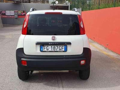 Fiat Panda 1.3 Multijet 4x4 VAN 2 POSTI Bianco usata Penne